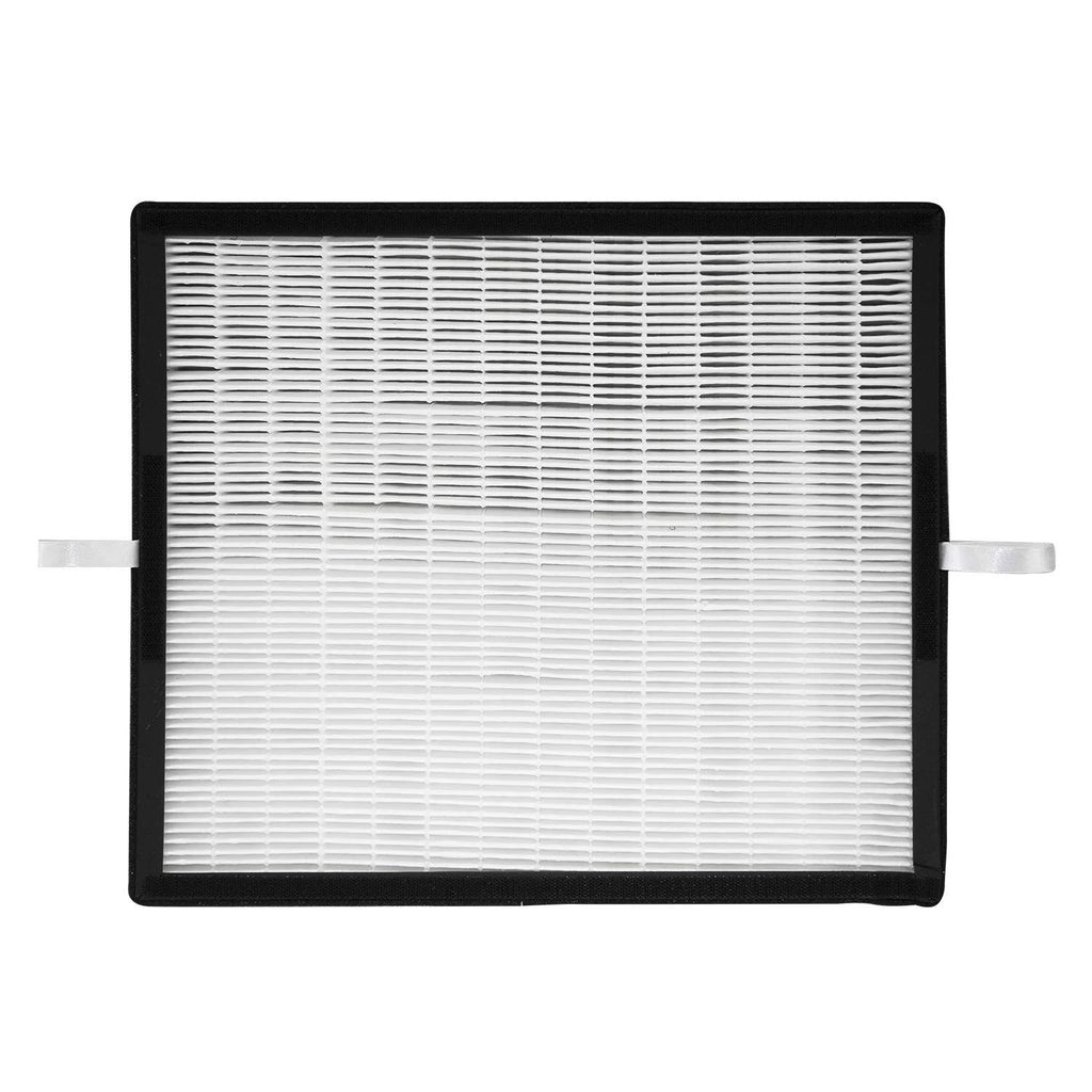 HEPA Replacement Filter G118