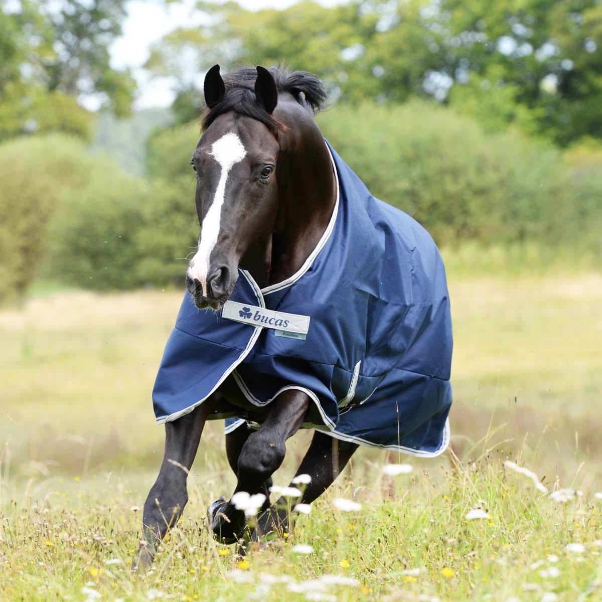 Navy 300g Turnout U40582