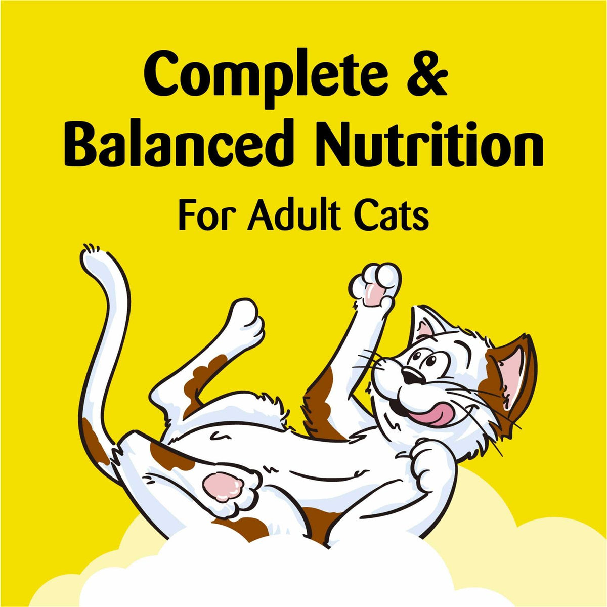 Chicken Flavor Crunchy and Soft Cat Treats E557297
