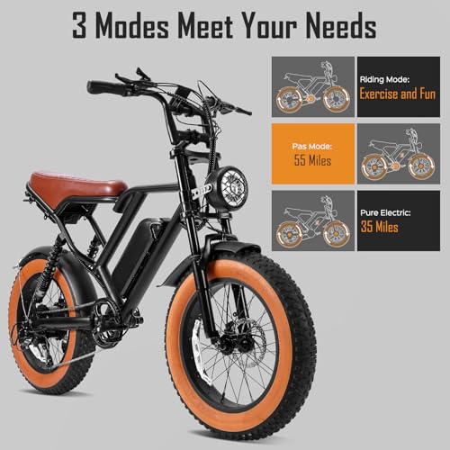 1000W 20" Fat Tire 48V 17.5AH Removable Battery Electric Bike V2154