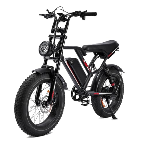 1000W 20" Fat Tire 48V 17.5AH Removable Battery Electric Bike V2154