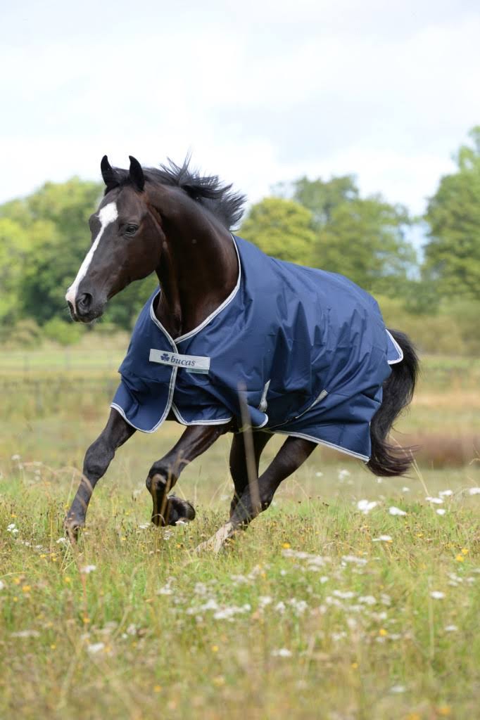 Navy 300g Turnout U40582
