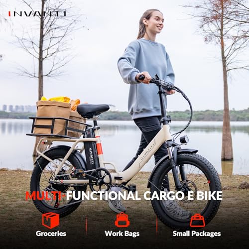 20" Step-Thru Fat Tire Electric Bike with Rear Rack, 7-Speed, Front Suspension V49814