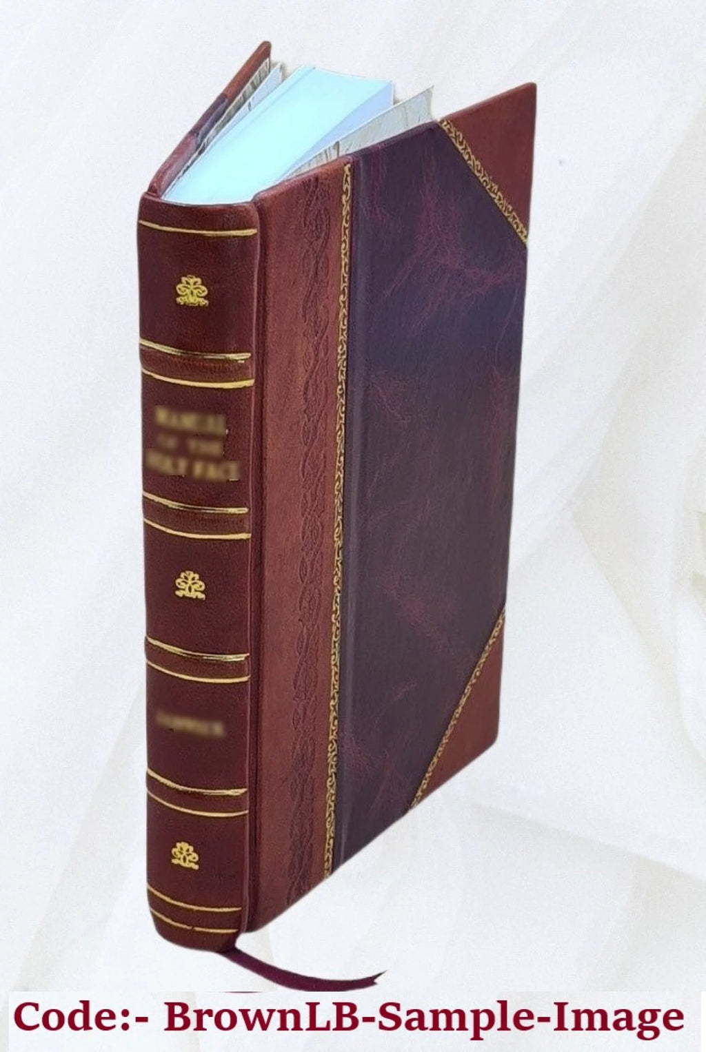 History of England Y563