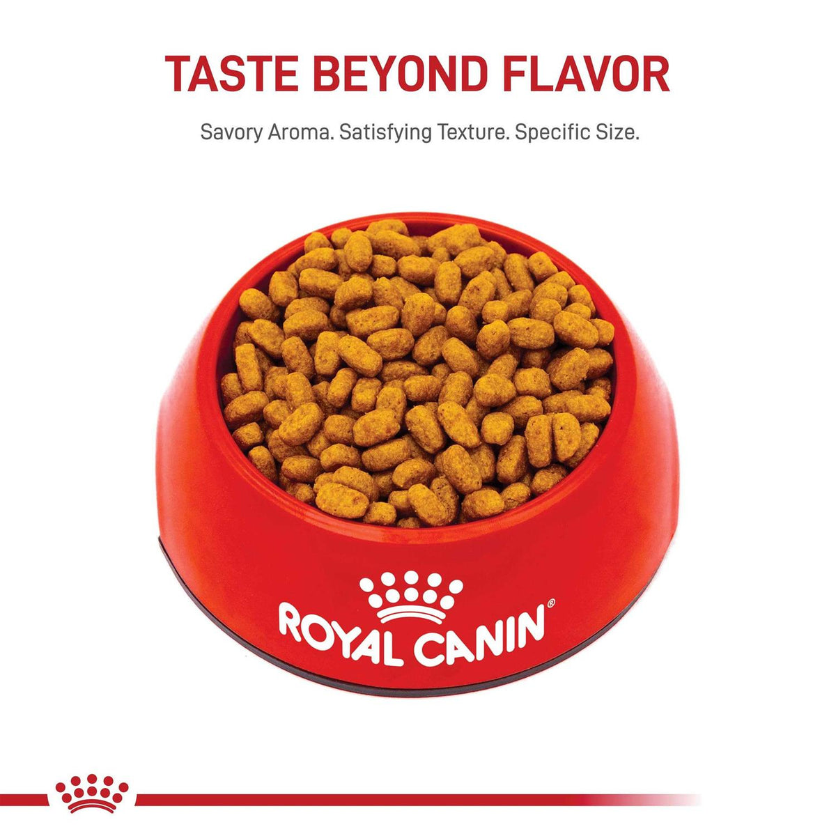Adult Maltese Dry Dog Food U981