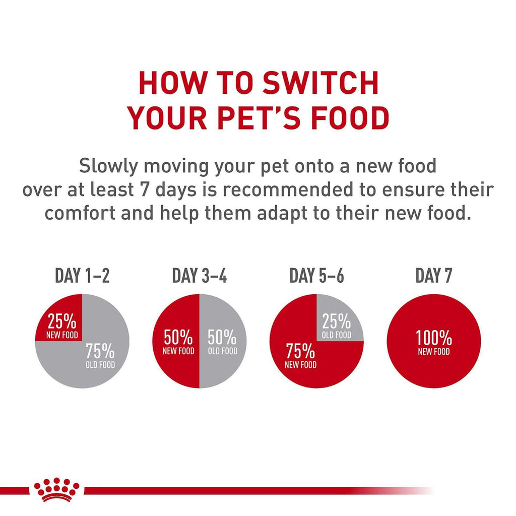 Adult Maltese Dry Dog Food U981