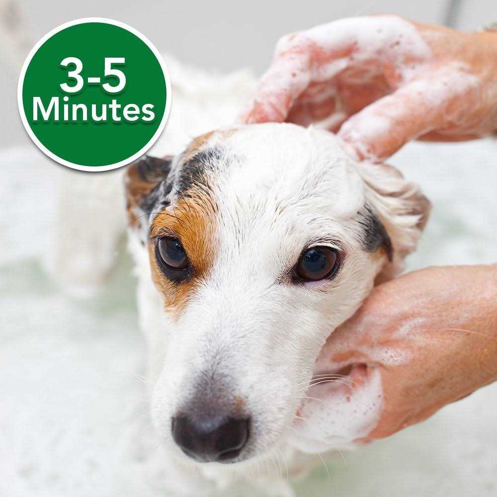 Oatmeal Medicated Dog Shampoo W16820