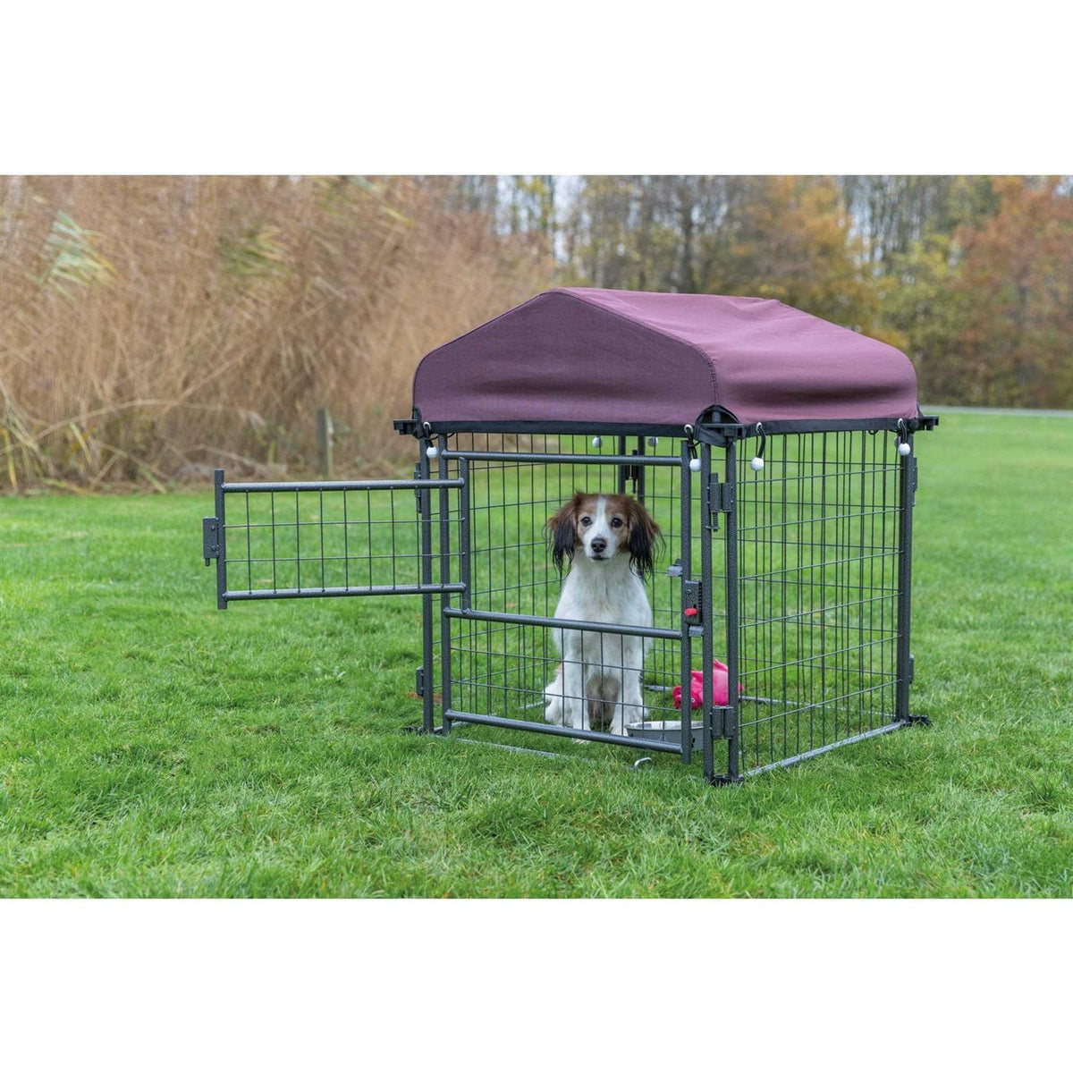 Outdoor Dog Kennel with Cover I338867