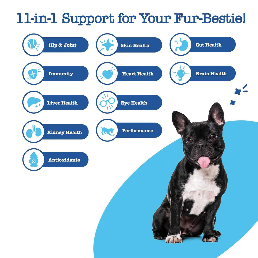 11-in-1 Multivitamin Bites for Dogs Q916