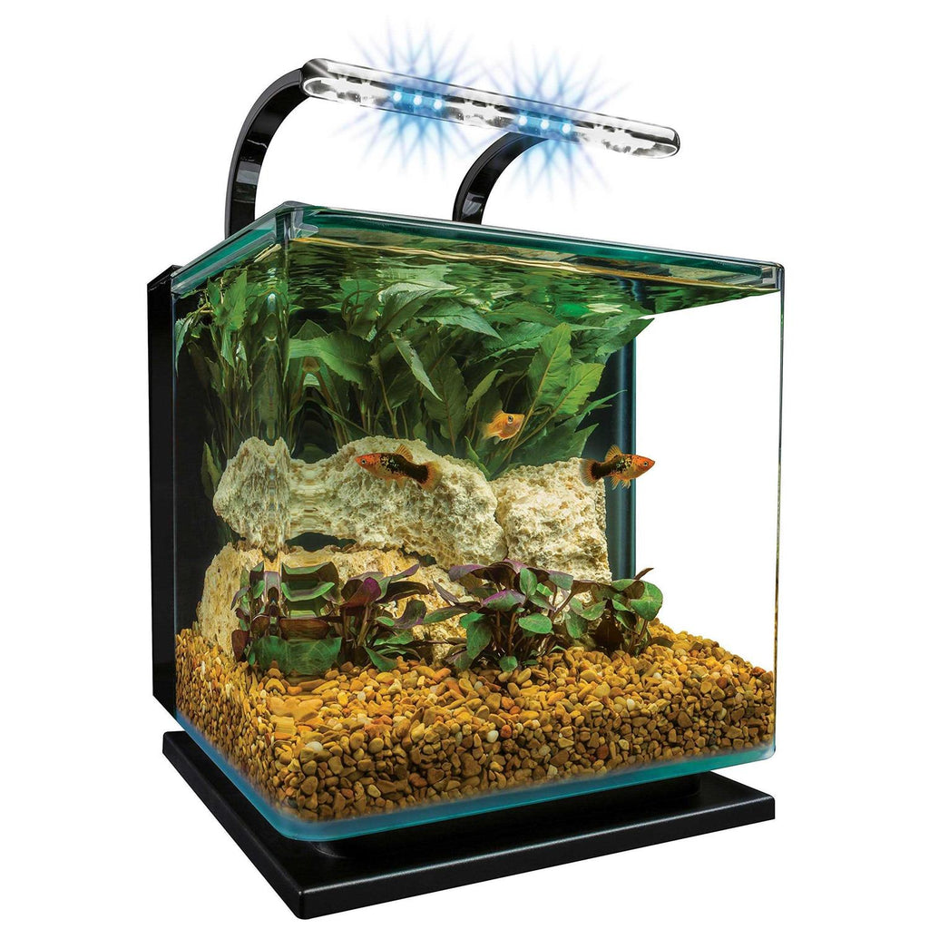 5 Gallon Kit H735