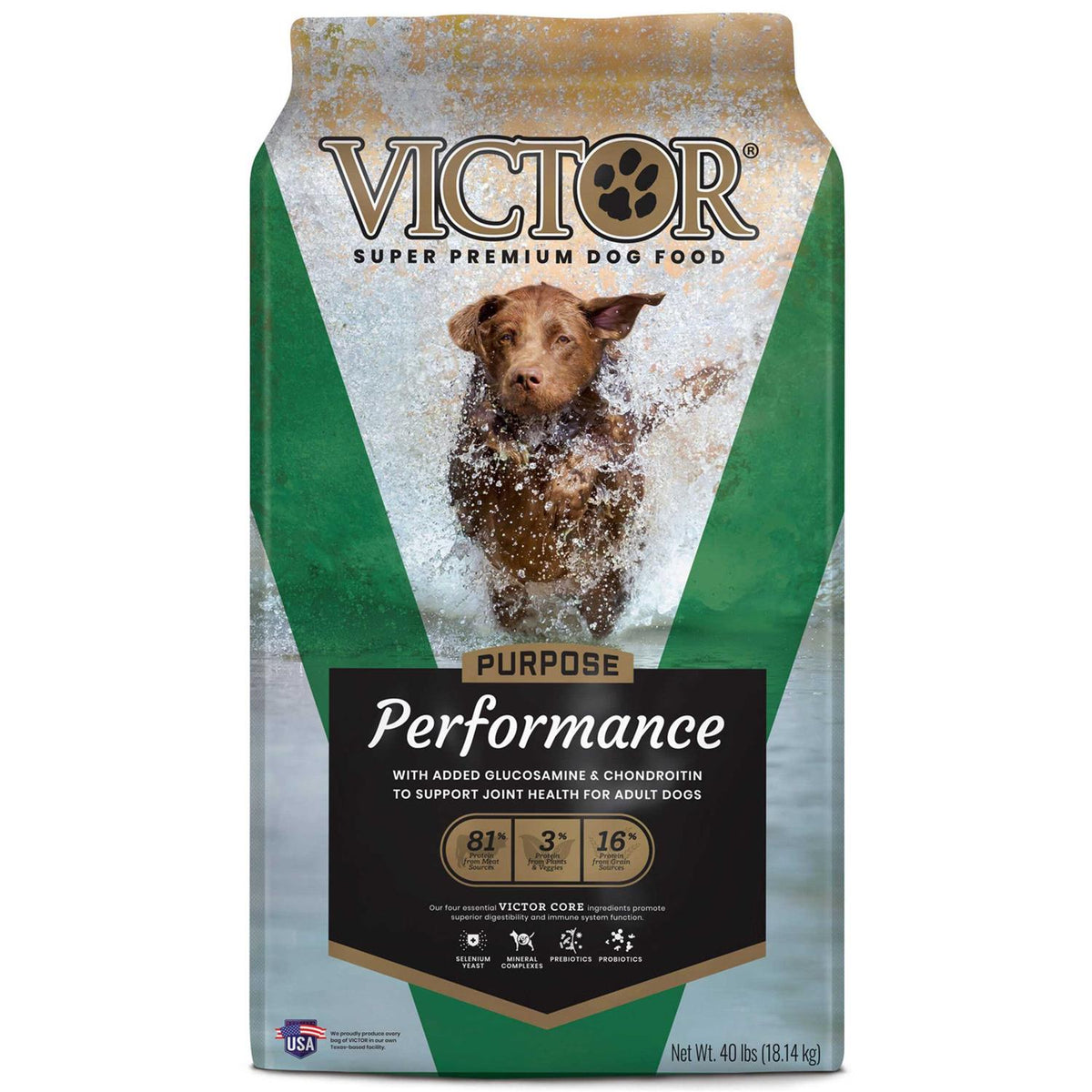 Dry Dog Food A9977