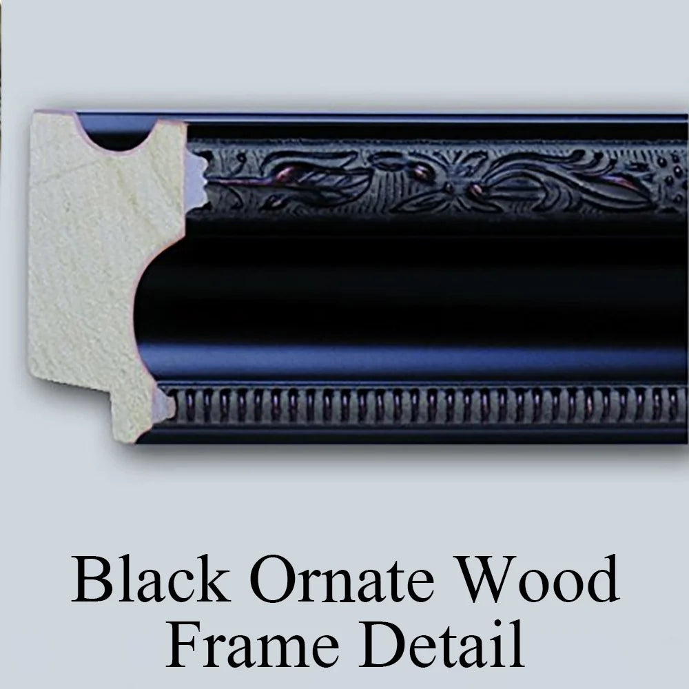 Black Ornate Framed Double Matted Museum Art Print 19x24 U854119