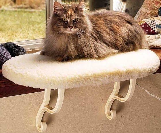 Heated Cat Pad with Removable Heating Unit H156