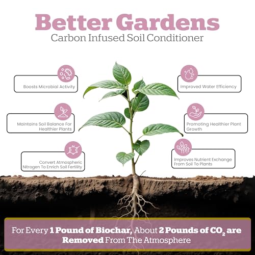 Biochar Indoor Potting Mix with Pine Bark and Worm Casting 2 Quart B59776