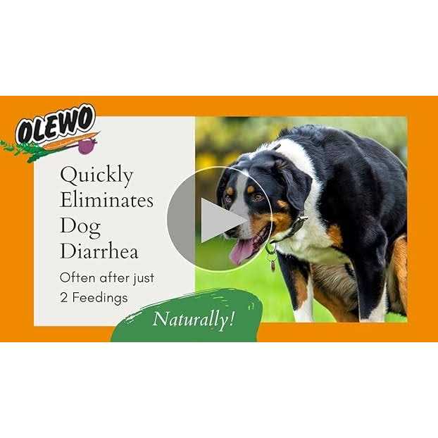 Carrots for Dogs Fiber X14370