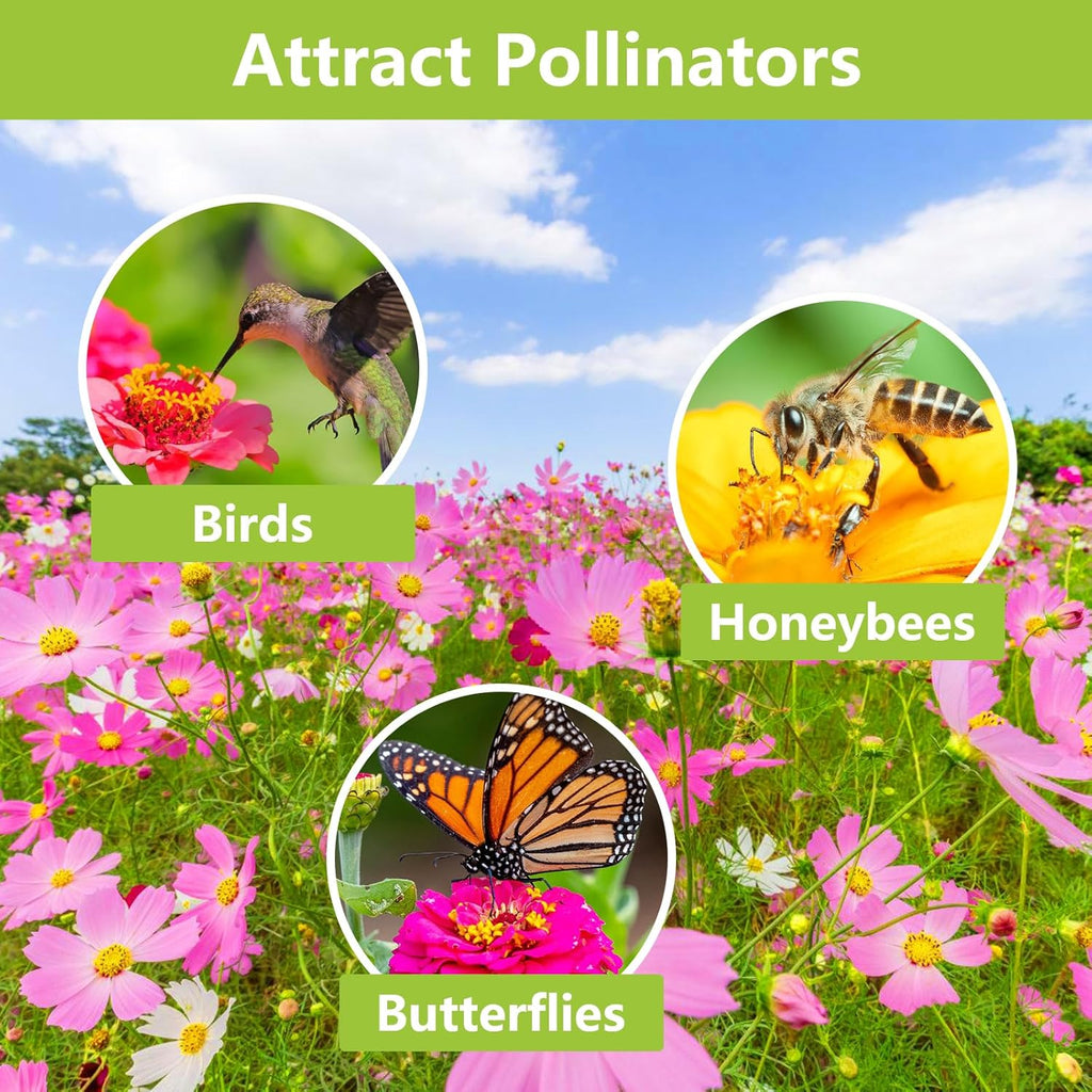 1.75 Ounce Wildflower Seeds Mix P68627