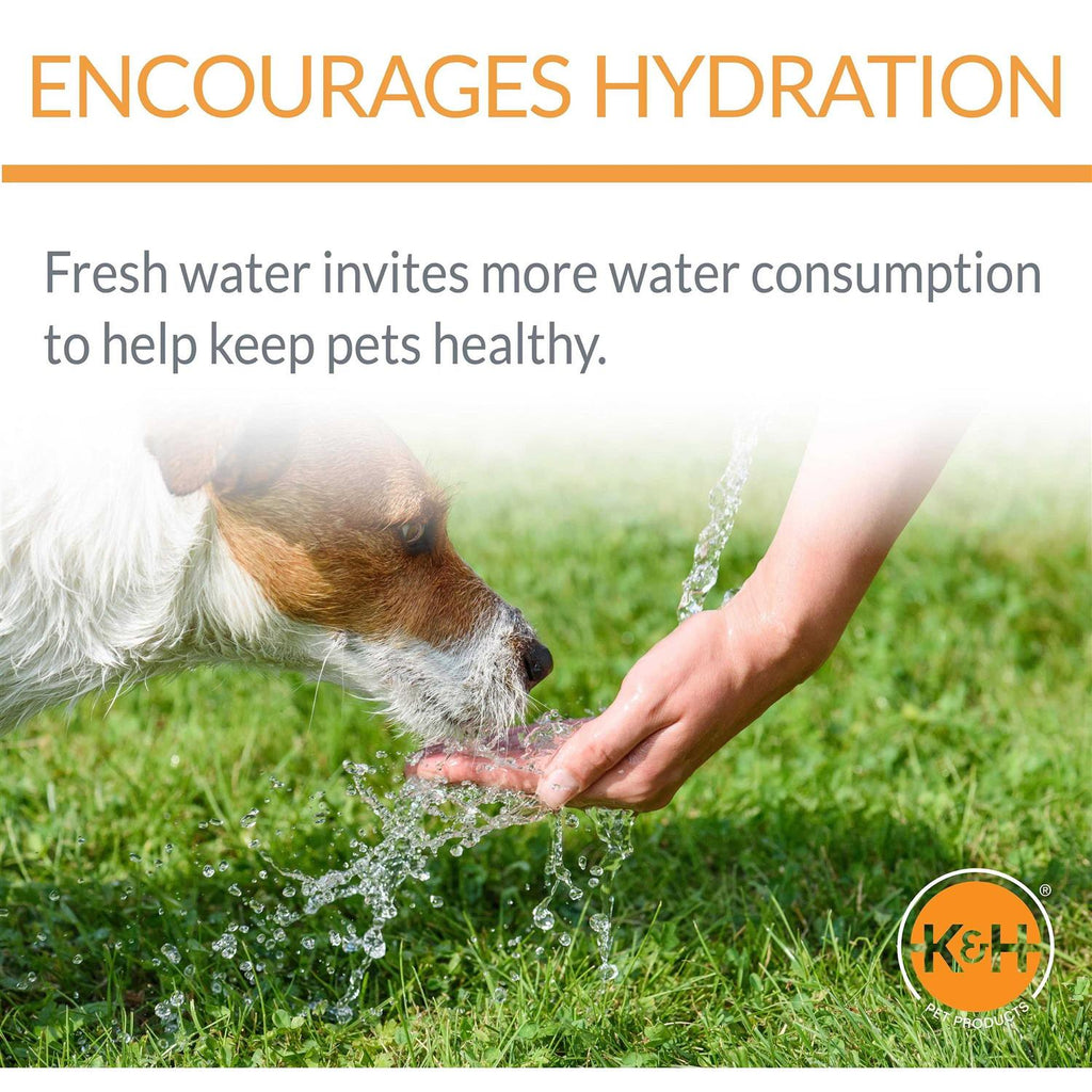Clean Flow Pet Bowl with Reservoir F568413