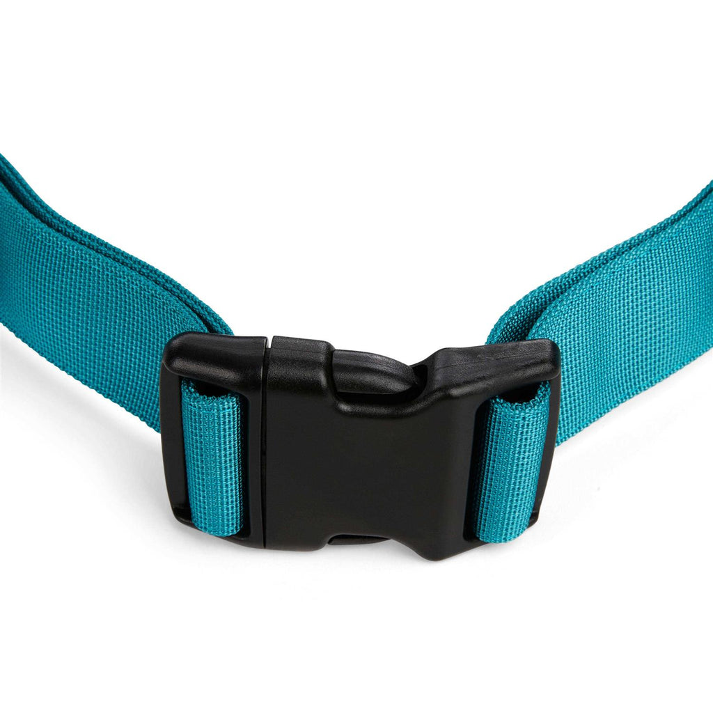 Running Belt & Leash Set for Dogs I3893