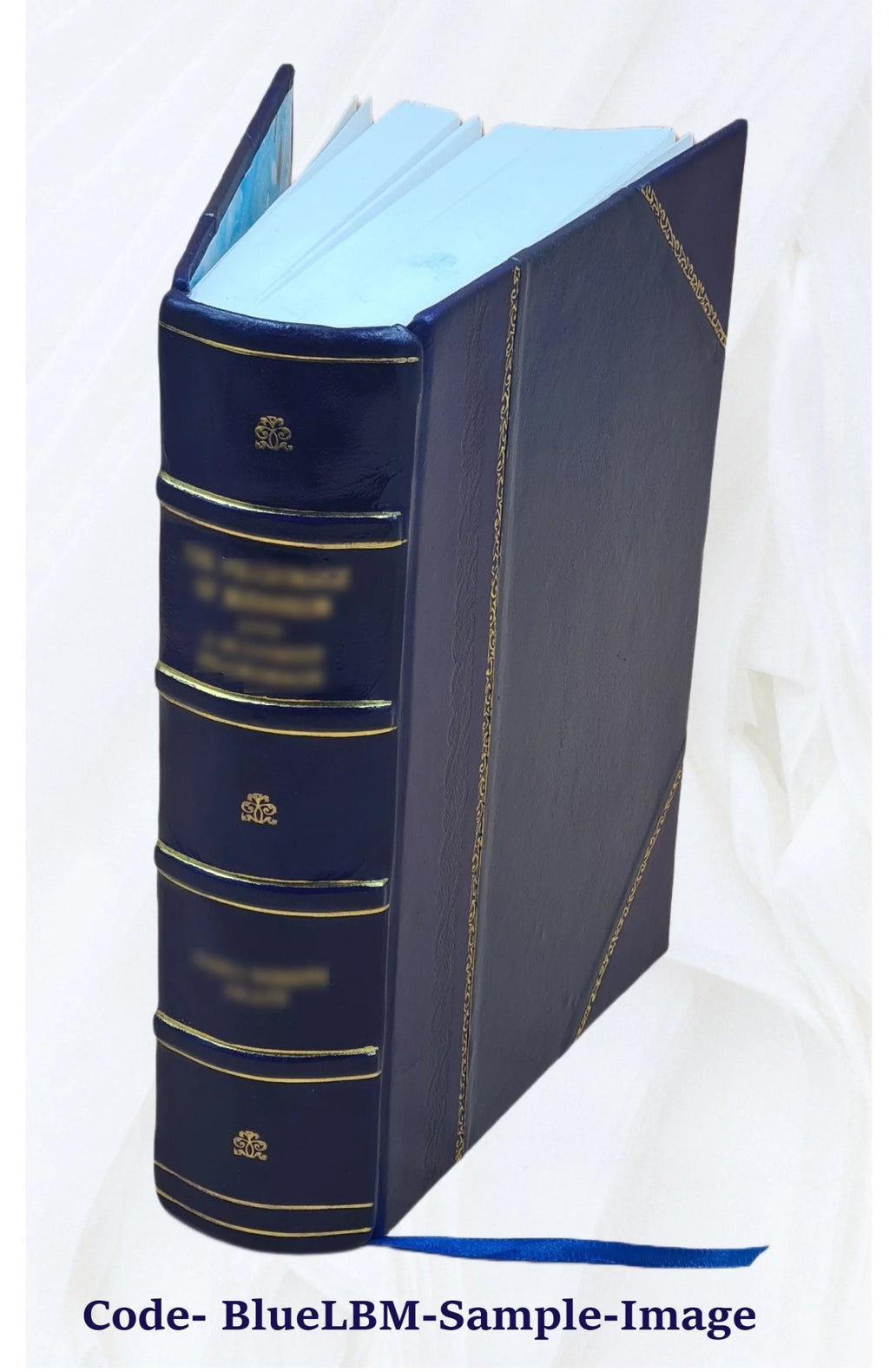 La Guerre russo-japonaise Leather Bound N690286