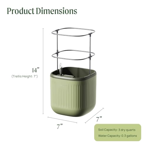 Sage Green Self-Watering Indoor Planter with Trellis A76004