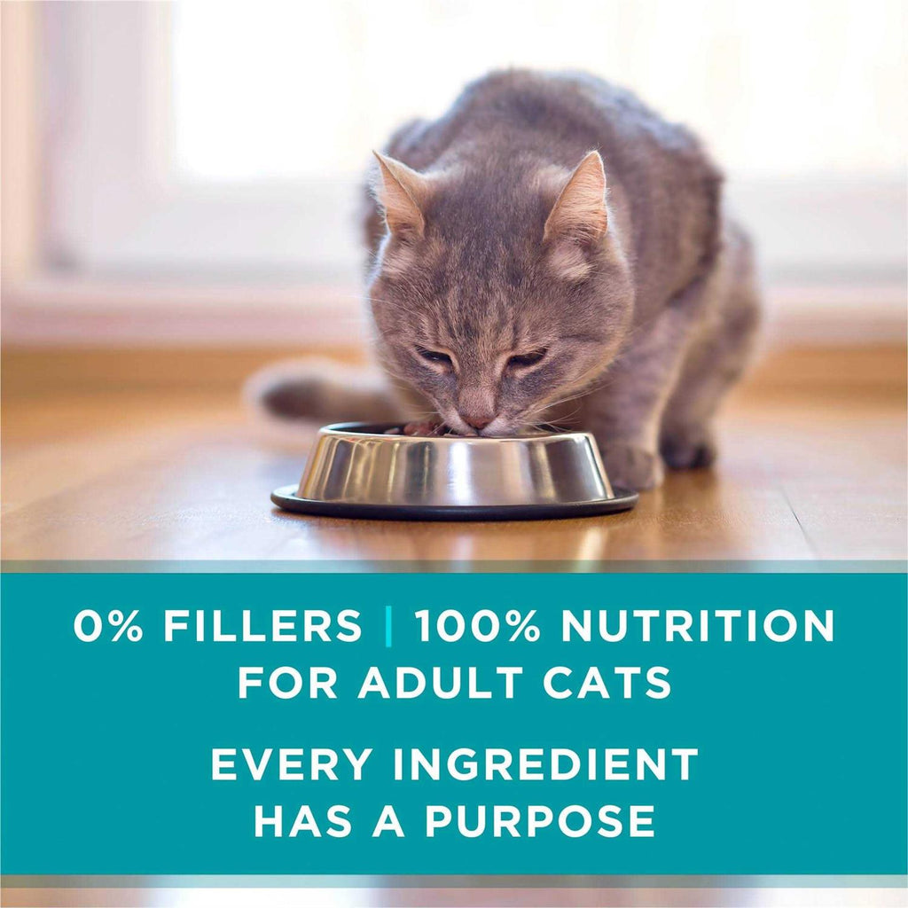 Beef & Liver Recipe Pate Wet Cat Food C823250