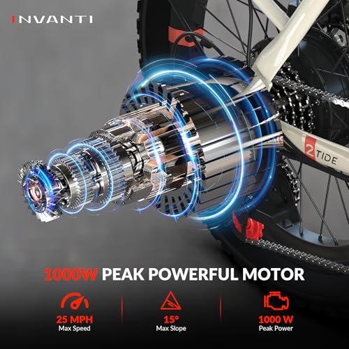 20" Step-Thru Fat Tire Electric Bike with Rear Rack, 7-Speed, Front Suspension V49814