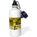 21-ounce Water Bottle B382137