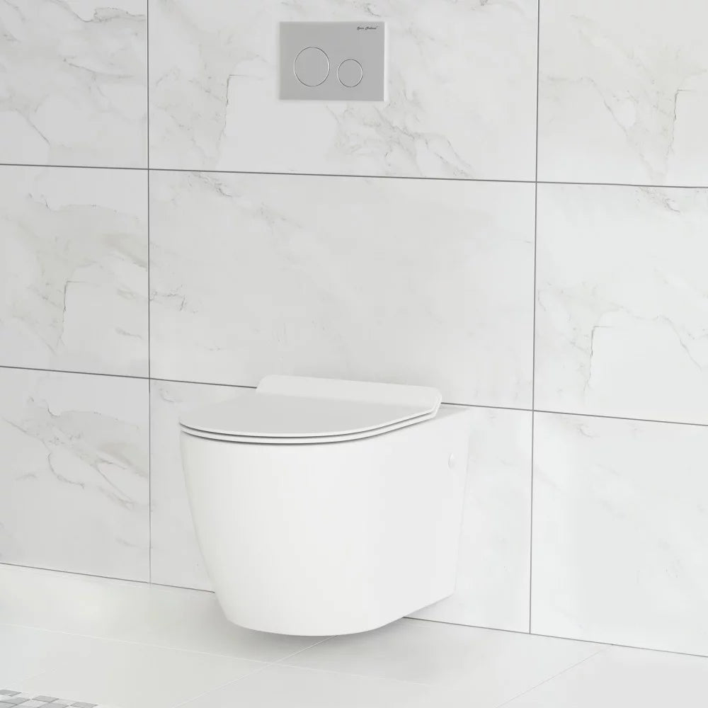 Wall Hung Toilet Bowl P685484