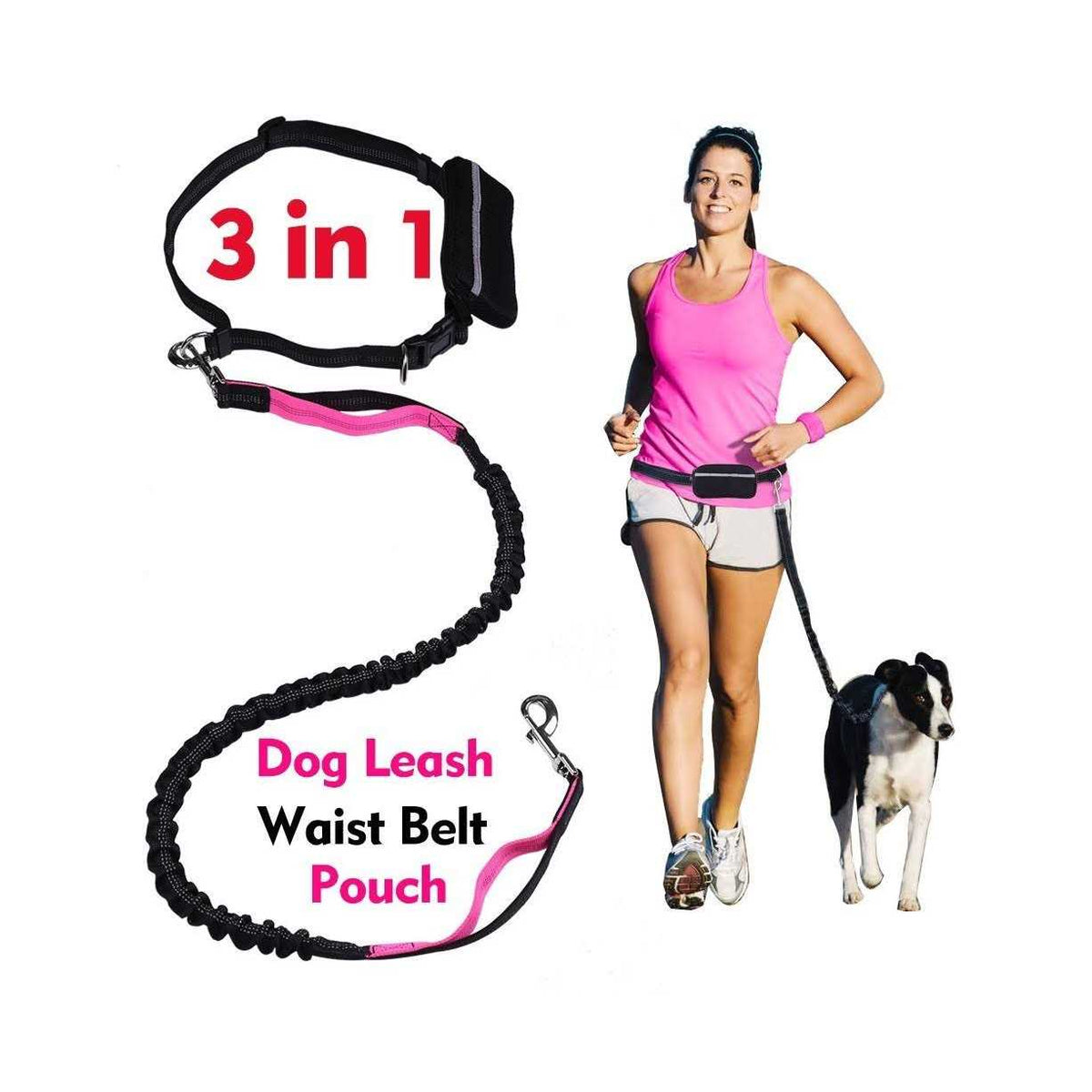 Hands Free Reflective Bungee Dog Leash A991544