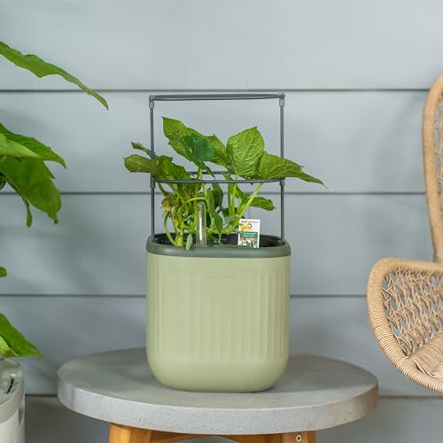 Sage Green Self-Watering Indoor Planter with Trellis A76004