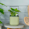 Sage Green Self-Watering Indoor Planter with Trellis A76004