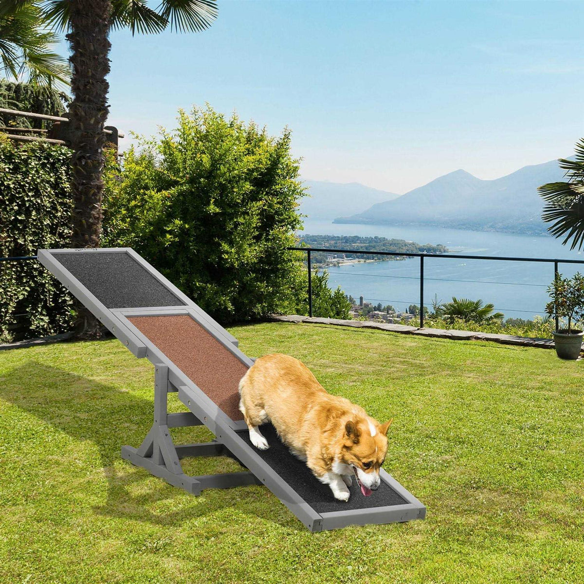Wooden Dog Agility Seesaw W363374