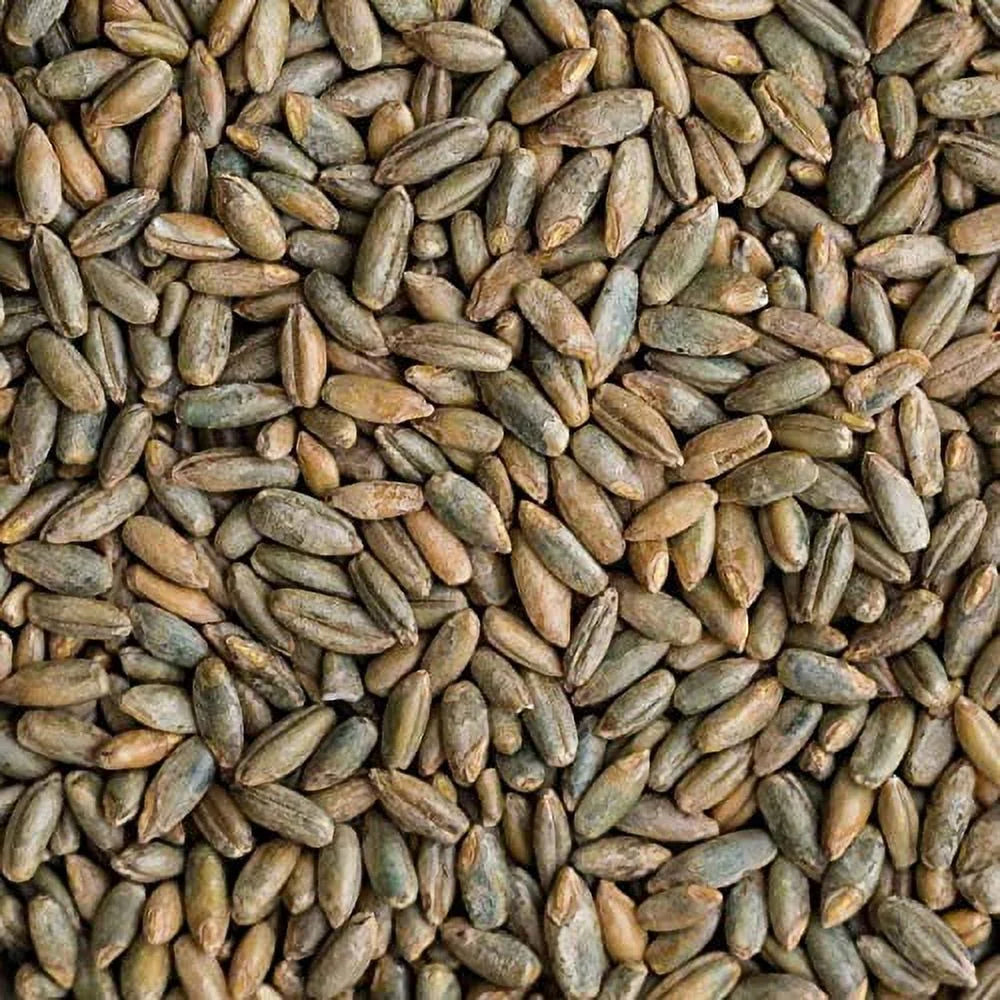 22 Pound Bag Of Rye Berries H3466