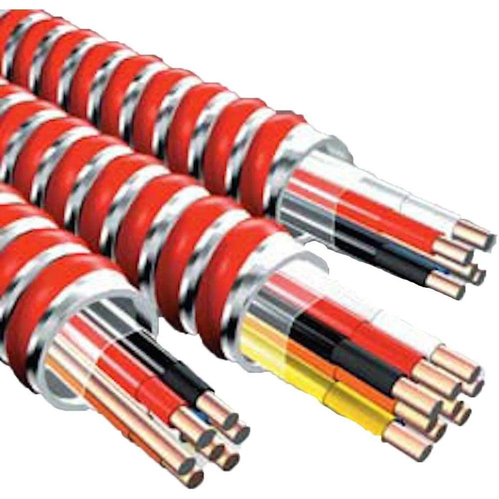 14 AWG 2 Conductor Armored Cable 250 ft. RD F141319