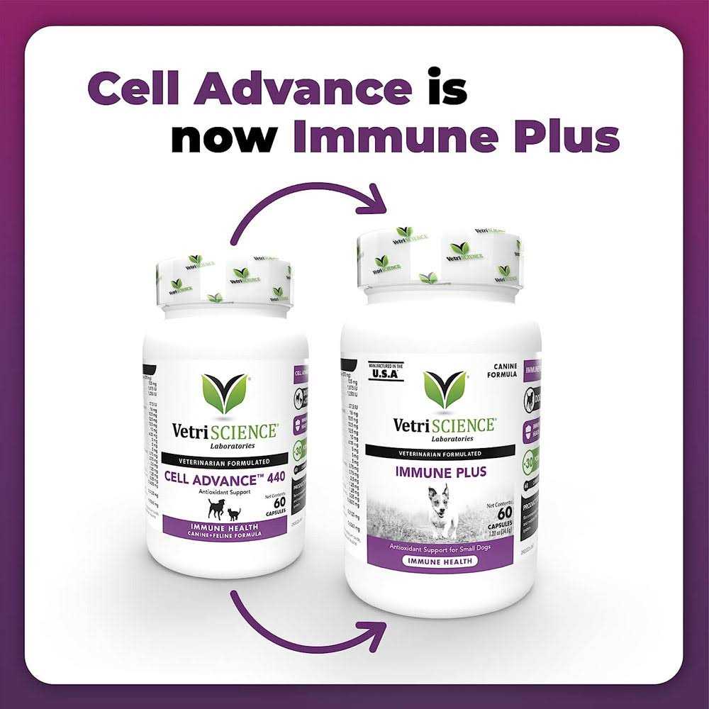 Immune Plus for Small Dogs B338