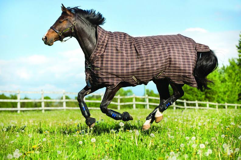 Lightweight 100g Turnout R36554