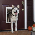Large Insulated Pet Door I60572