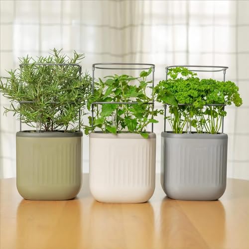 Sage Green Self-Watering Indoor Planter with Trellis A76004