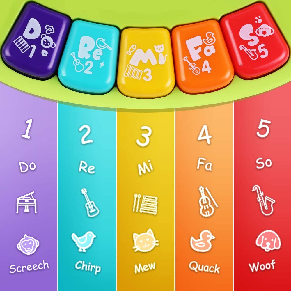 Musical Piano Keyboard Sensory Toy for Toddlers H17688