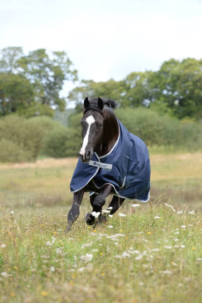 Navy 300g Turnout U40582