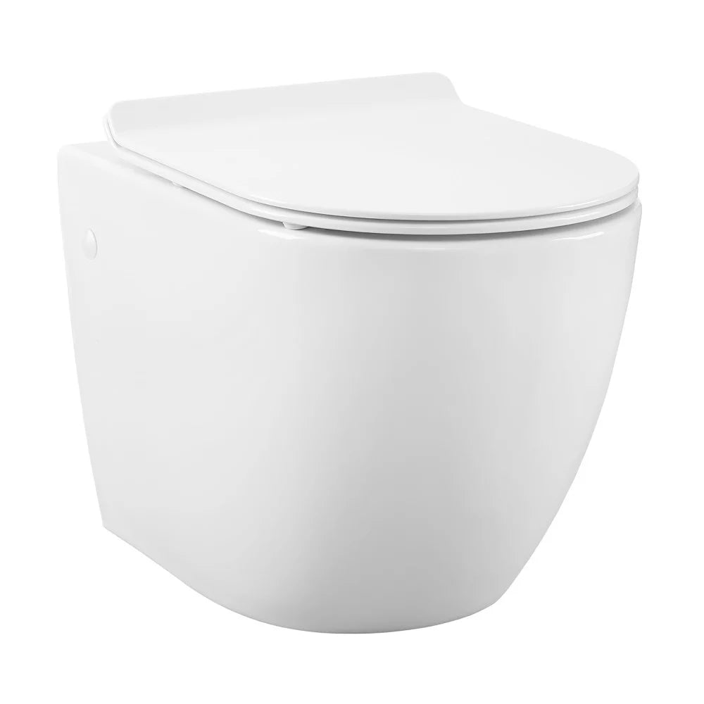 Wall Hung Toilet Bowl P685484