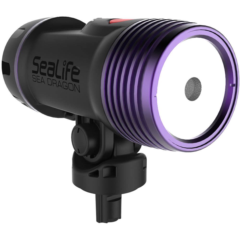 Dual Beam Light Kit P37716