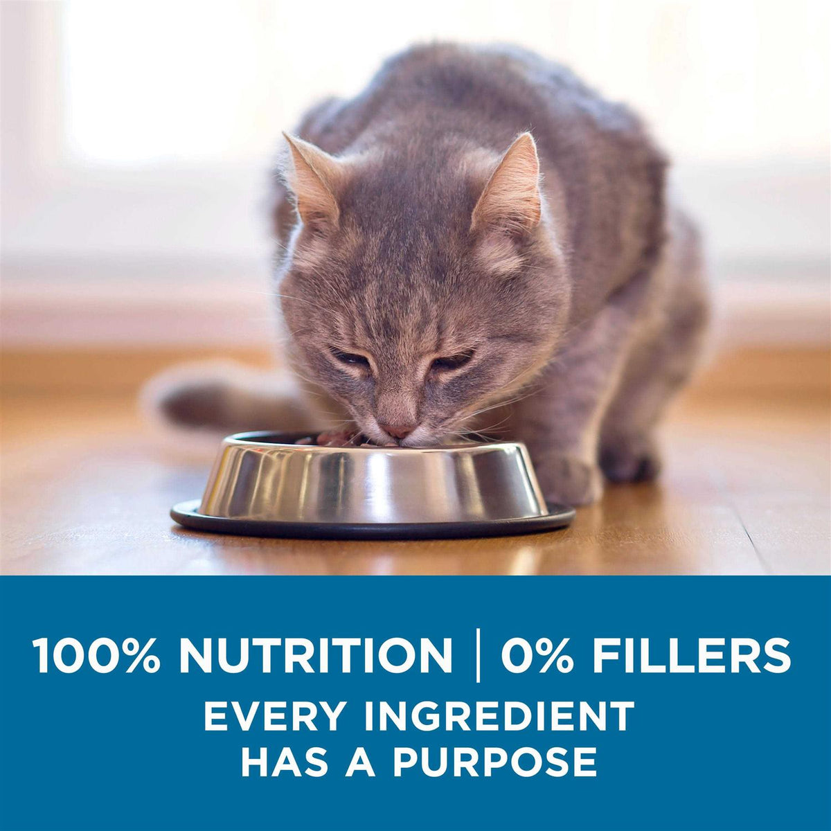 Senior Dry Cat Food T8646