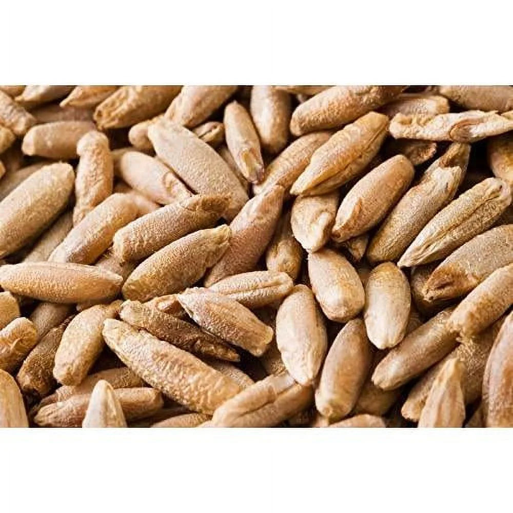 22 Pound Bag Of Rye Berries H3466