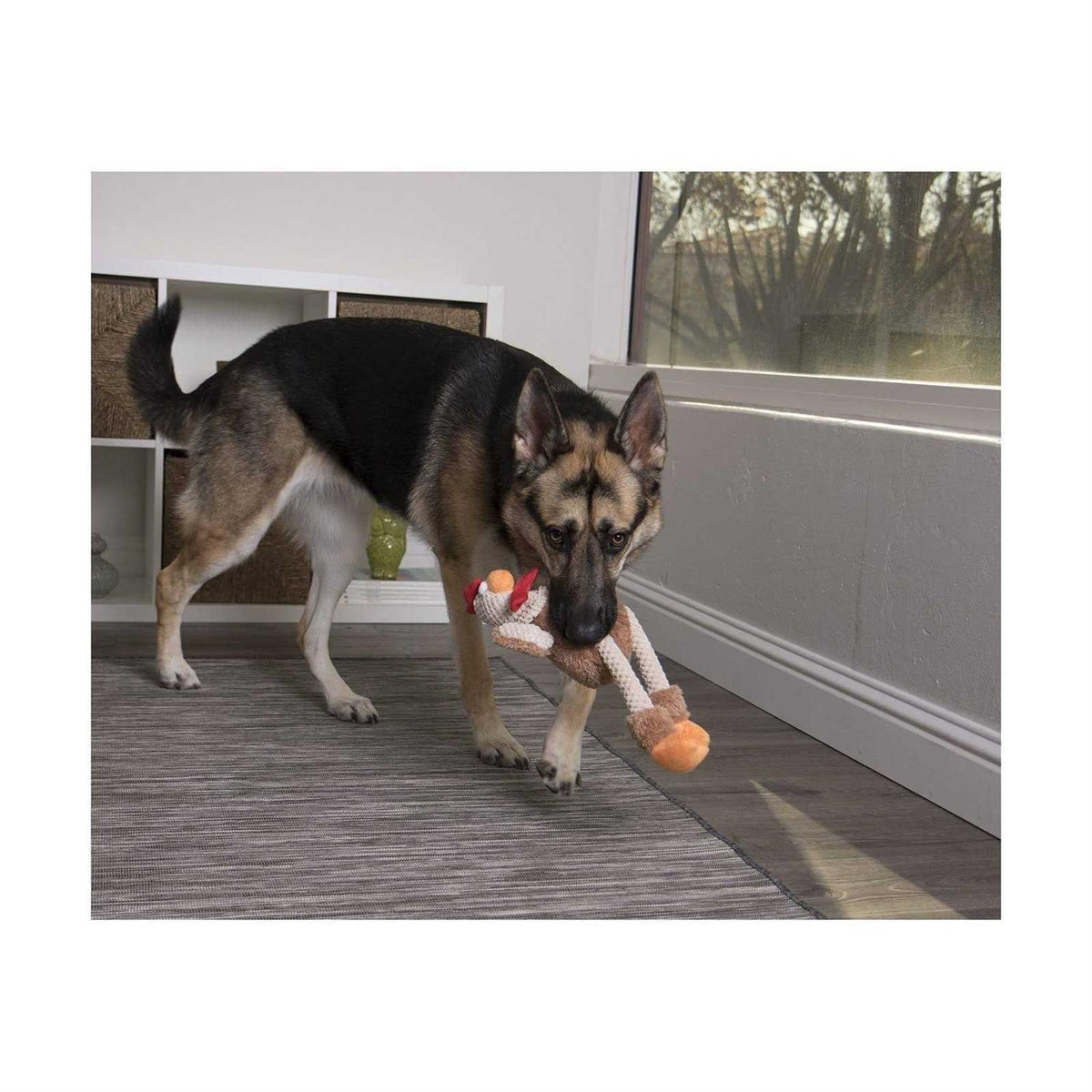 Skinny Rooster Dog Toy V2039