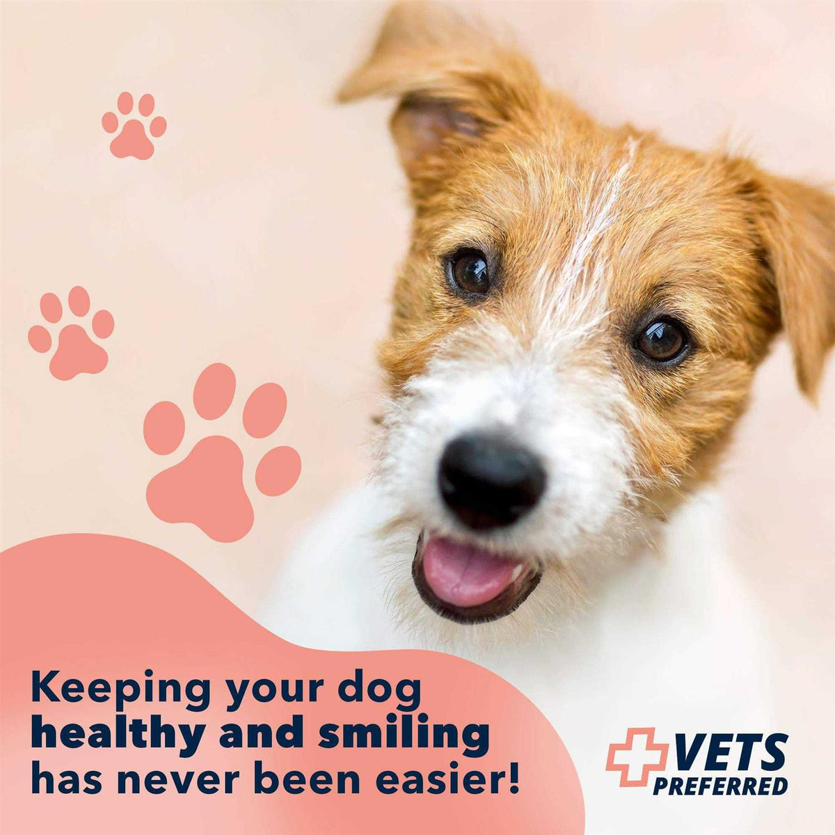 Advanced Oral Care Water Additive for Dogs K90048