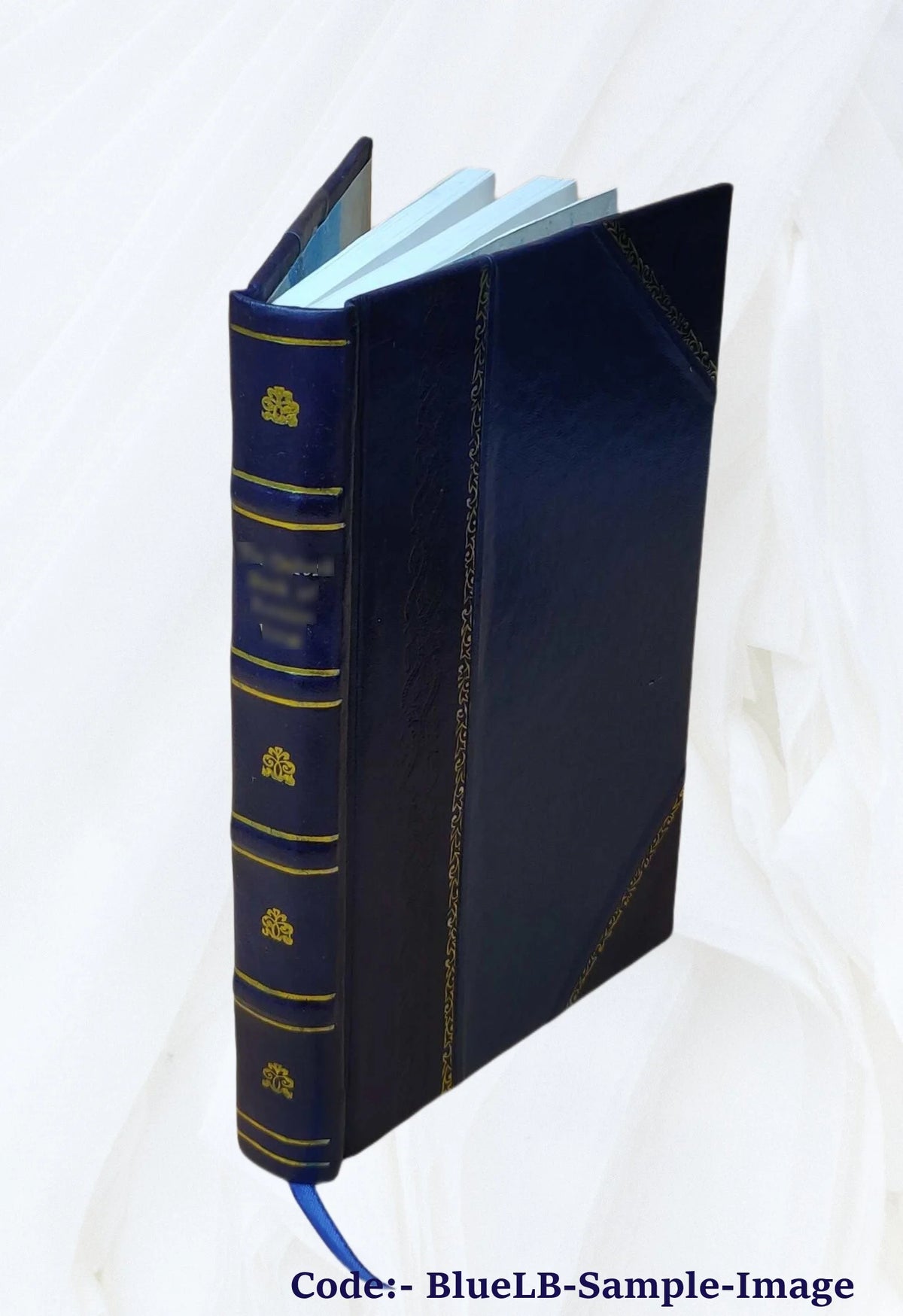 Leather Book P58282