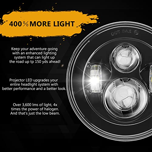 7 Inch Headlight Fog Lights Combo H900840