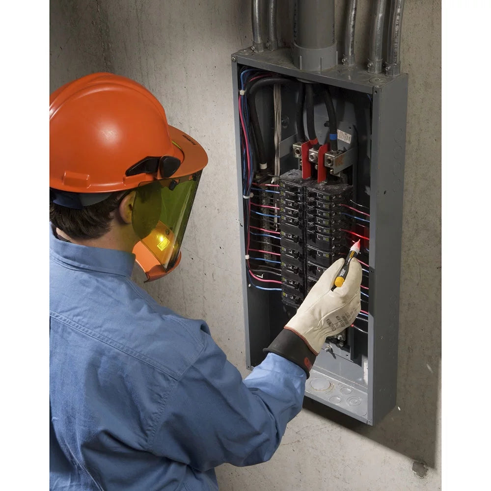 Voltage Detector E813