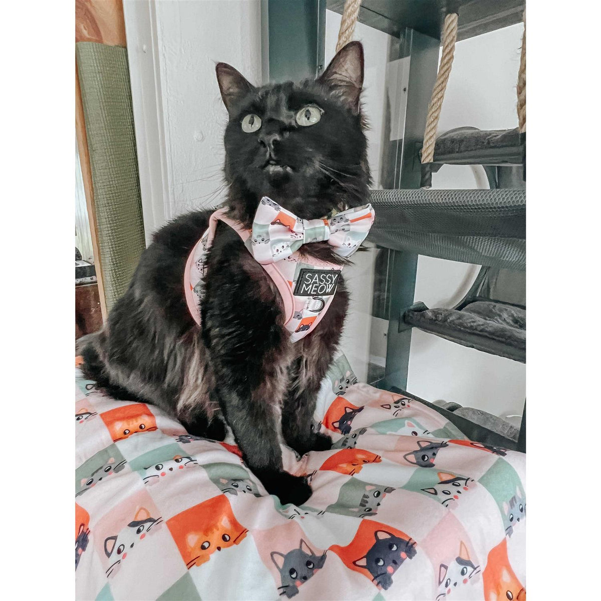 Cat Step-In Harness M2174
